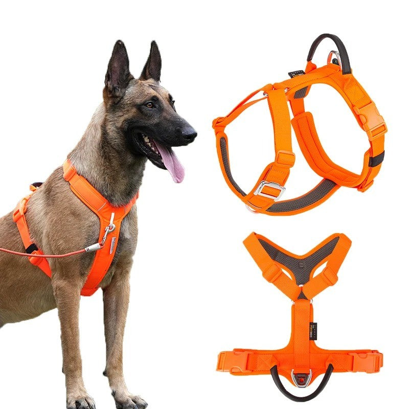 Harnais sans traction