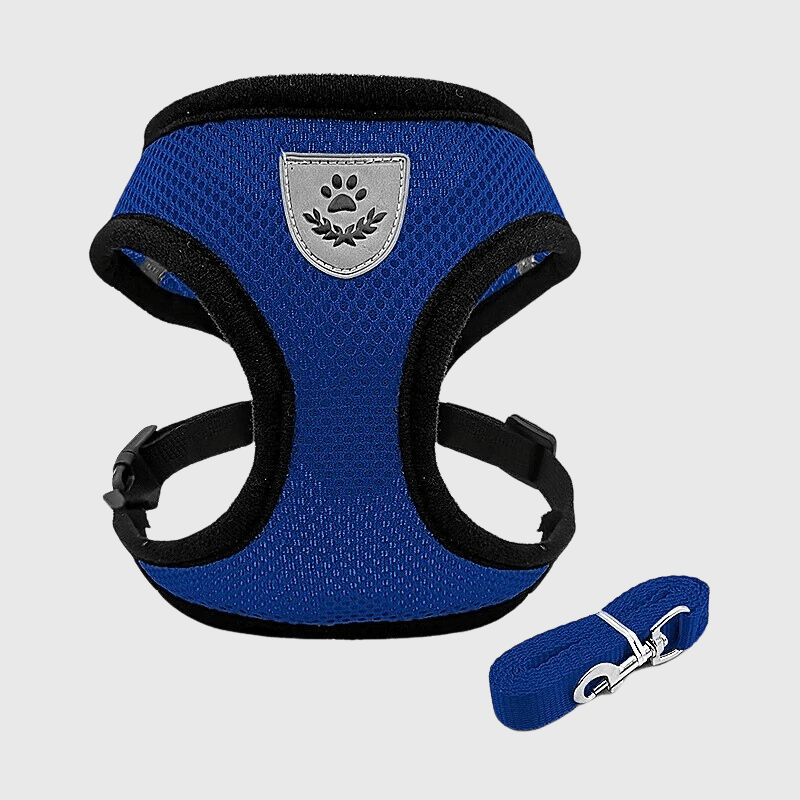 https://cdn.shopify.com/s/files/1/0763/9767/4819/files/Harnais_souple_pour_chien_bleu.png?v=1698688264