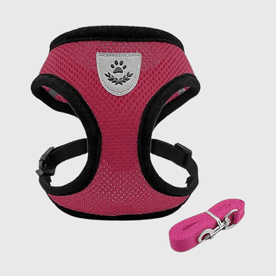 https://cdn.shopify.com/s/files/1/0763/9767/4819/files/Harnais_souple_pour_chien_rose_rouge.png?v=1698688261