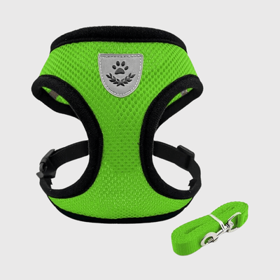 https://cdn.shopify.com/s/files/1/0763/9767/4819/files/Harnais_souple_pour_chien_vert.png?v=1698688261