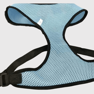 https://cdn.shopify.com/s/files/1/0763/9767/4819/files/Harnais_sport_chien_bleu_clair.png?v=1698679650