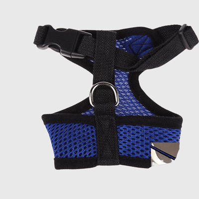 https://cdn.shopify.com/s/files/1/0763/9767/4819/files/Harnais_sport_chien_bleu_foncee.png?v=1698679650