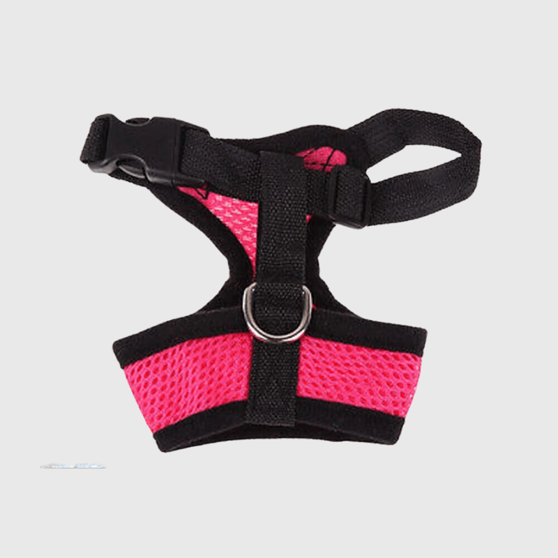 https://cdn.shopify.com/s/files/1/0763/9767/4819/files/Harnais_sport_chien_rose.png?v=1698679650