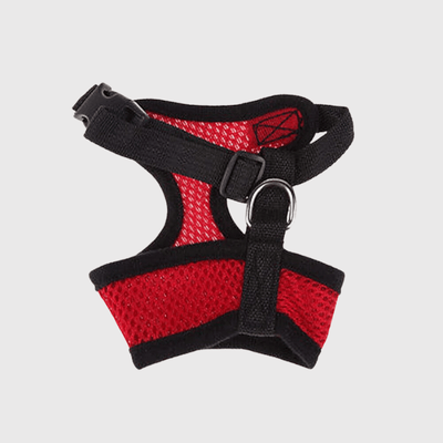 https://cdn.shopify.com/s/files/1/0763/9767/4819/files/Harnais_sport_chien_rouge.png?v=1698679650