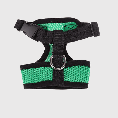 https://cdn.shopify.com/s/files/1/0763/9767/4819/files/Harnais_sport_chien_vert.png?v=1698679650