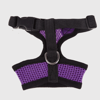https://cdn.shopify.com/s/files/1/0763/9767/4819/files/Harnais_sport_chien_violet.png?v=1698679650