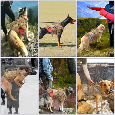Harnais tactique chien k9 - Gros-Chien.com