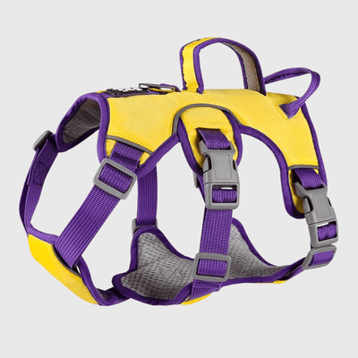 https://cdn.shopify.com/s/files/1/0763/9767/4819/files/Harnais_triple_sangle_chien_jaune.png?v=1698689135