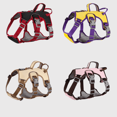 https://cdn.shopify.com/s/files/1/0763/9767/4819/files/Harnais_triple_sangle_chien_modele.png?v=1698689135