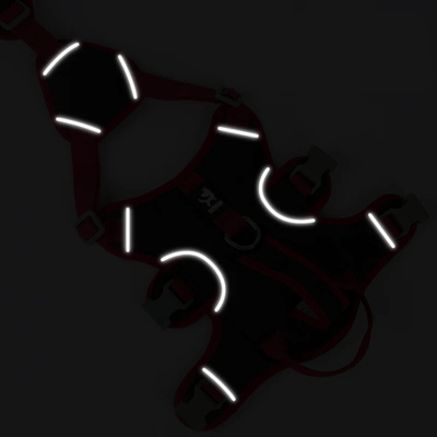 https://cdn.shopify.com/s/files/1/0763/9767/4819/files/Harnais_triple_sangle_chien_nuit.png?v=1698689141