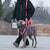 Harnais d'aide à la marche pour chien - Gros-Chien.com