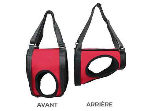 Acheter Ceinture Auxiliaire Pour Animaux De Compagnie, Harnais De Levage Réglable Pour Chien, Respirant, Support De Rééducation, Fournitures Pour Animaux De Compagnie