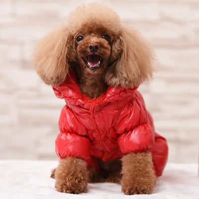 Manteau Combinaison Duvet pour Petit Chien à Capuche