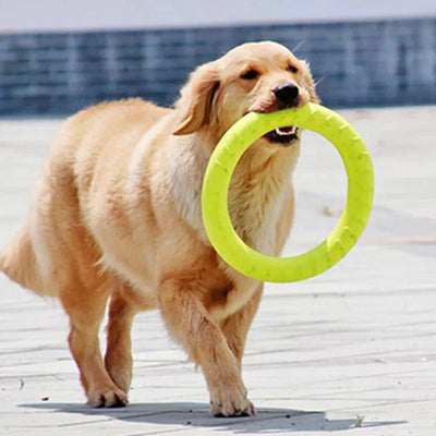 Jouet Anneau de Traction pour Chien Moyen et Grand