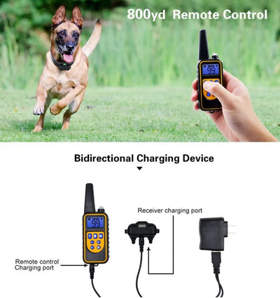 Collier Anti-Aboiement Télécommande 800 m Rechargeable Étanche