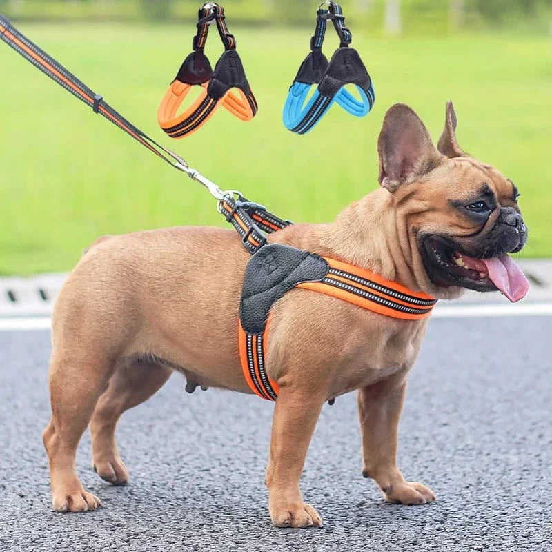 https://cdn.shopify.com/s/files/1/0489/2898/1148/files/Hba64efebd7af47ad9716a3e3c00e5ddaW.webp?v=1742985680