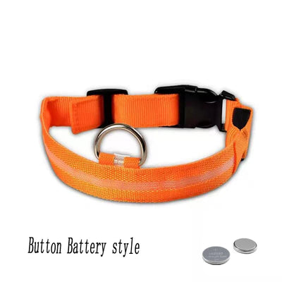 Collier Lumineux LED Étanche pour Chien