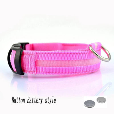 Collier Lumineux LED Étanche pour Chien