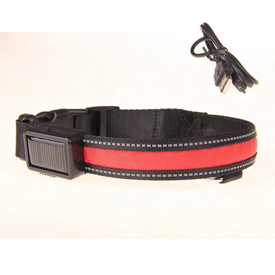 Collier Lumineux LED Solaire et USB Réfléchissant Chien