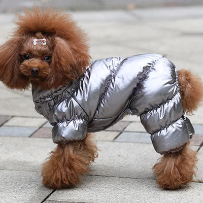 Manteau Combinaison Duvet pour Petit Chien à Capuche