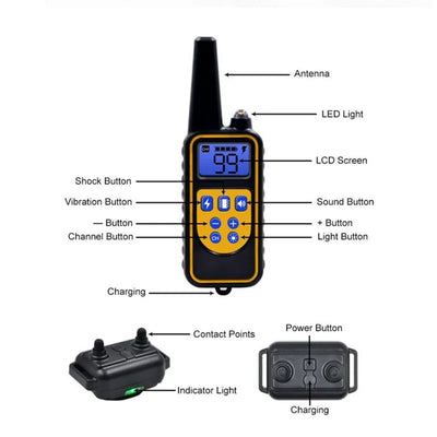 Collier Anti-Aboiement Télécommande 800 m Rechargeable Étanche