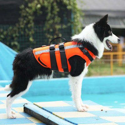Gilet Sauvetage Gros Chien Orange Flottaison