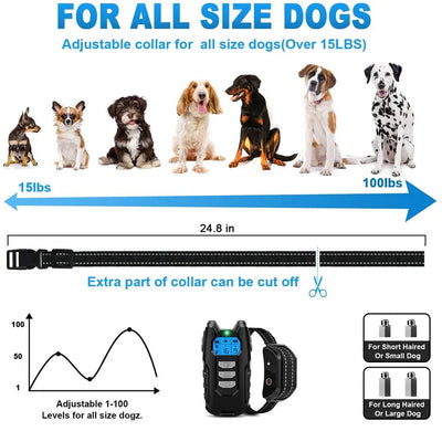 Collier Électrique de Dressage 300 m Écran LCD IP67 Chien