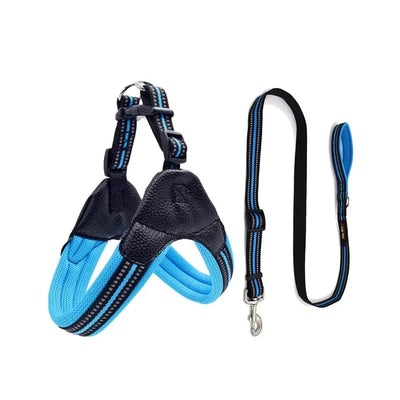 https://cdn.shopify.com/s/files/1/0489/2898/1148/files/Hd0252ff6d3c54c3baf392ae3484b09ddr.webp?v=1742985709