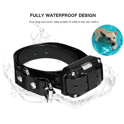 Collier Anti-Aboiement Télécommande 800 m Rechargeable Étanche