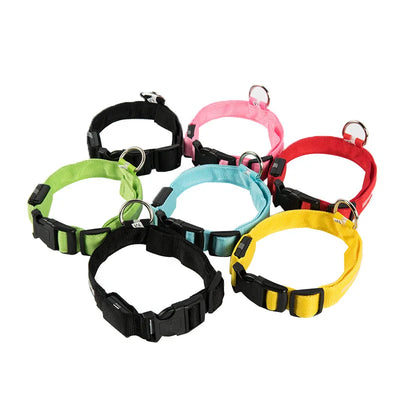Collier Lumineux LED Étanche pour Chien
