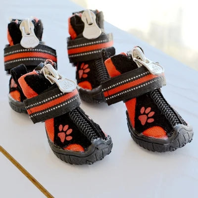 Bottes Imperméables Chien Golden Retriever Labrador