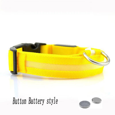 Collier Lumineux LED Étanche pour Chien