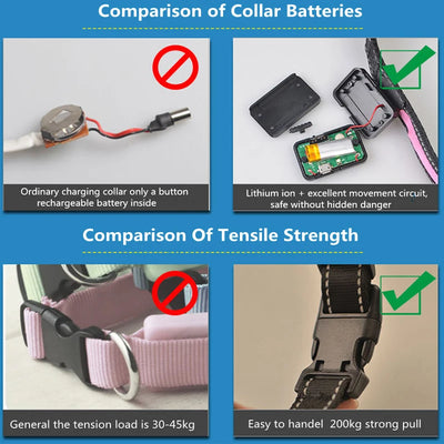 Collier Lumineux LED Solaire et USB Réfléchissant Chien