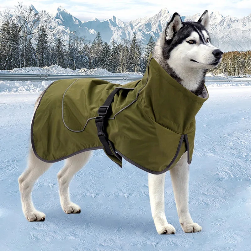 Manteau d'Hiver Imperméable Grand Chien Labrador Husky