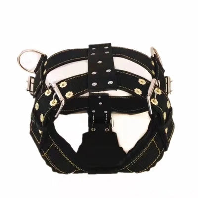 Collier et Laisse Nylon 5 cm Tressée Pitbull Gros Chien