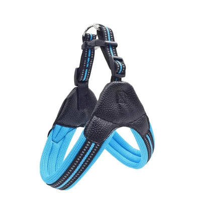 https://cdn.shopify.com/s/files/1/0489/2898/1148/files/Hdd603d428604465a863deccd831e56f0v.webp?v=1742985669
