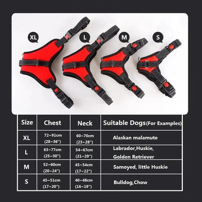 https://cdn.shopify.com/s/files/1/0489/2898/1148/files/He1ec67d0e6f743dab8401a01ea8cf91ac.webp?v=1742985507