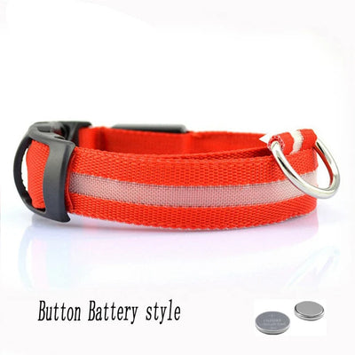 Collier Lumineux LED Étanche pour Chien