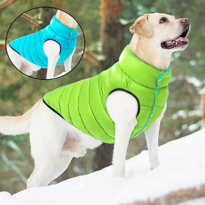 Manteau Imperméable Réversible 3 Couches Gros Chien