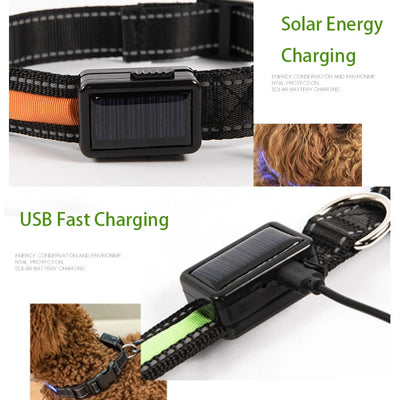 Collier Lumineux LED Solaire et USB Réfléchissant Chien