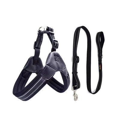 https://cdn.shopify.com/s/files/1/0489/2898/1148/files/Hf8faf5fcc17b45269cb91983c79bab102.webp?v=1742985674