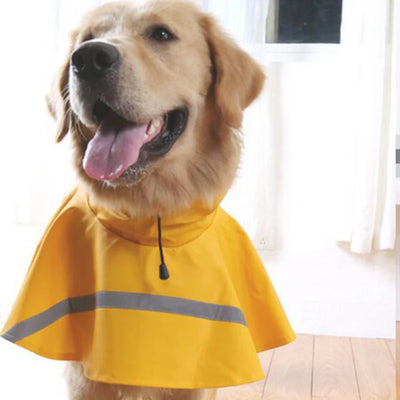 Manteau Imperméable Poncho Réfléchissant Capuche Grand Chien