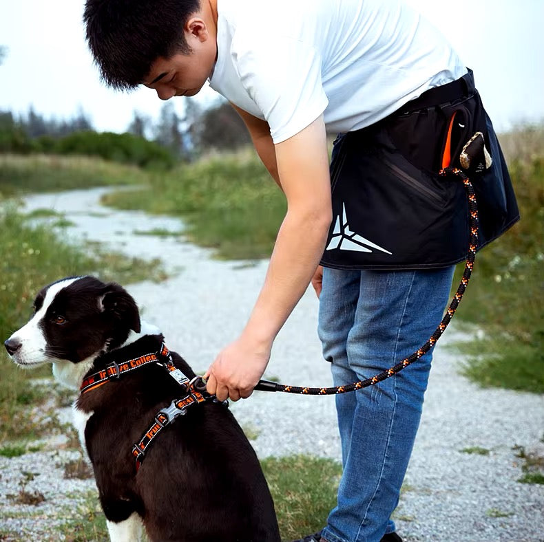 Jupe conducteur chien