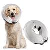 Collier élisabéthain chien gonflable - Gros-Chien.com