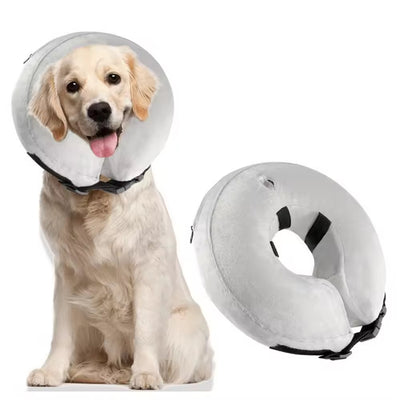 Collier élisabéthain chien gonflable - Gros-Chien.com