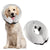 COLLERETTE POUR CHIEN