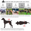 HARNAIS LESTÉ POUR CHIEN - Gros-Chien.com