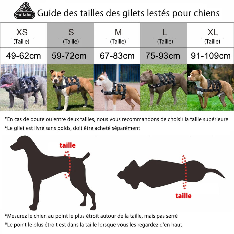 Harnais Pour Chien Rembourré Et Réfléchissant Harnais De Poitrine Ajustable Noir M 89031880 Harnais Pour Chien Rembourré Et Réfléchissant Harnais De Poitrine Ajustable Noir M 89031880