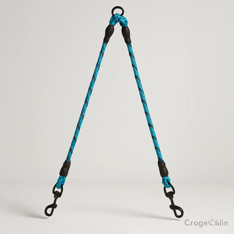 https://cdn.shopify.com/s/files/1/0923/9910/8483/files/Laisse_Double_Pour_Petit_Chien.jpg?v=1747591376