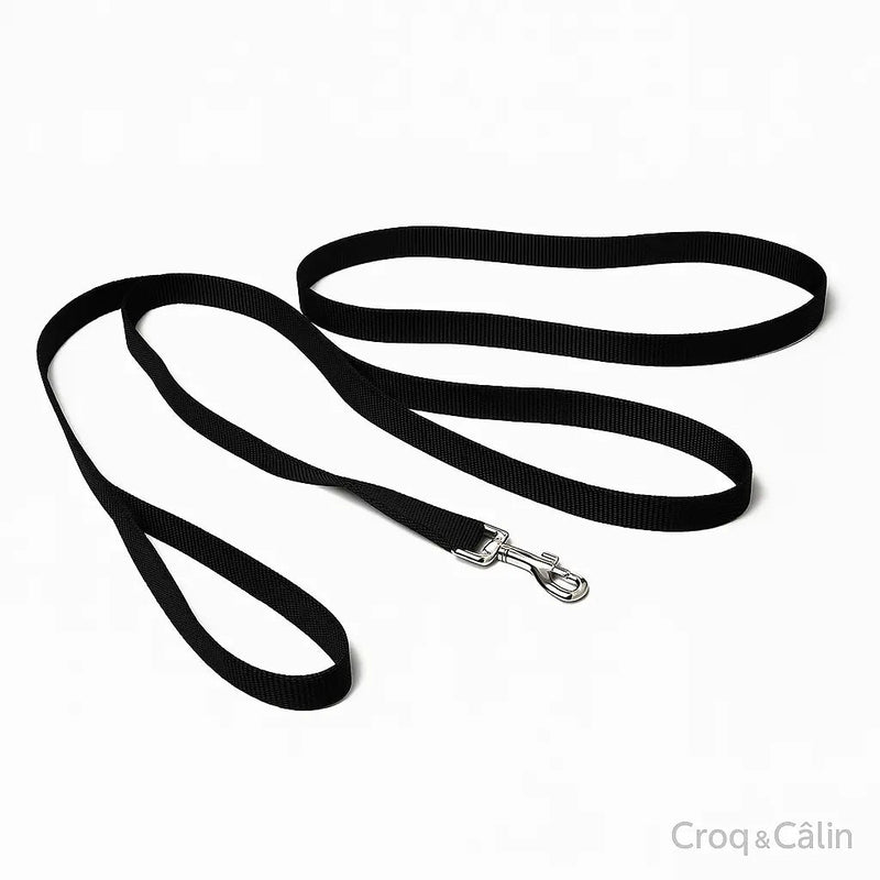 https://cdn.shopify.com/s/files/1/0923/9910/8483/files/Longe_Pour_Chien_10_m.png?v=1747591128